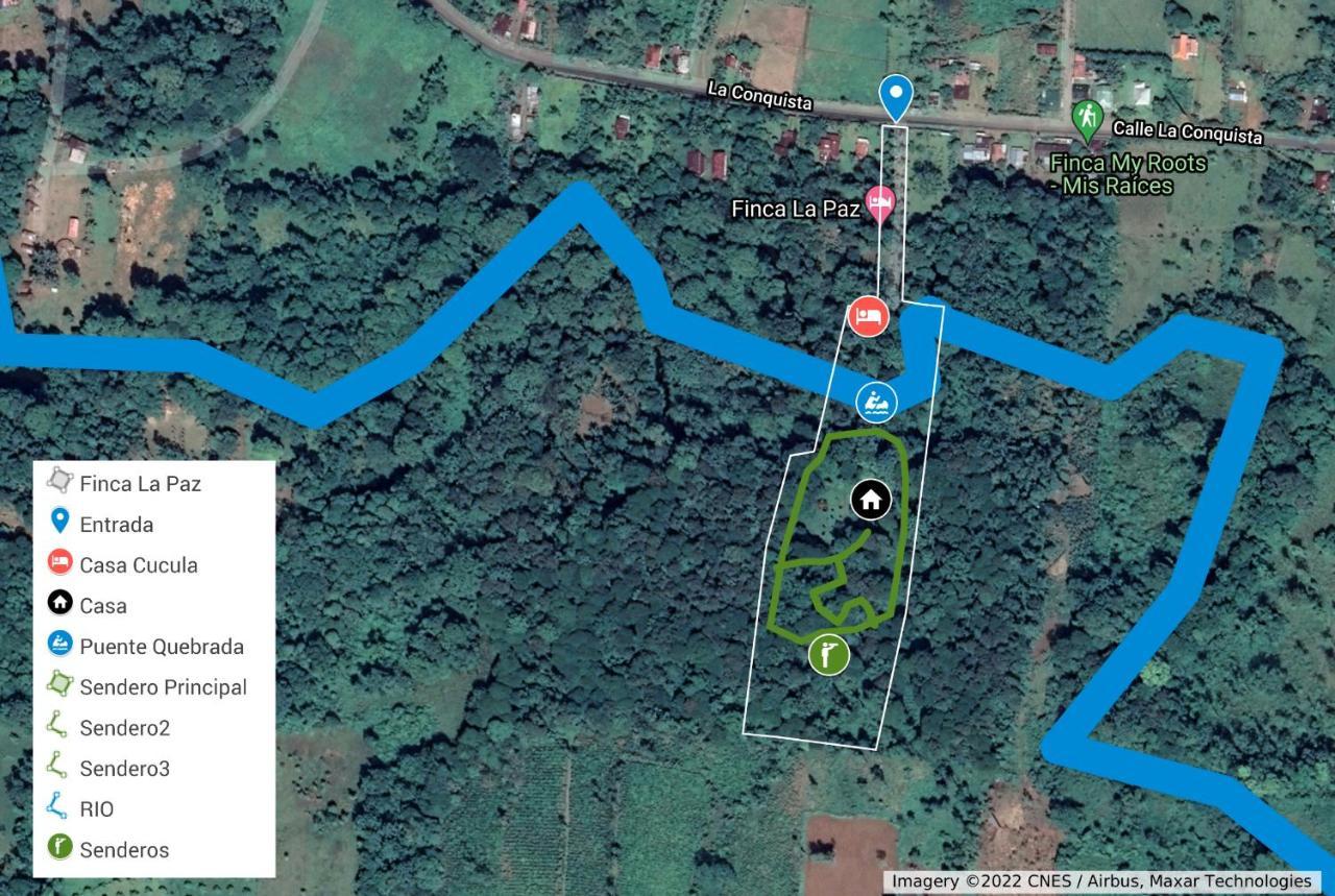 Finca La Paz - Sarapiqui Puerto Viejo de Sarapiqui Eksteriør billede
