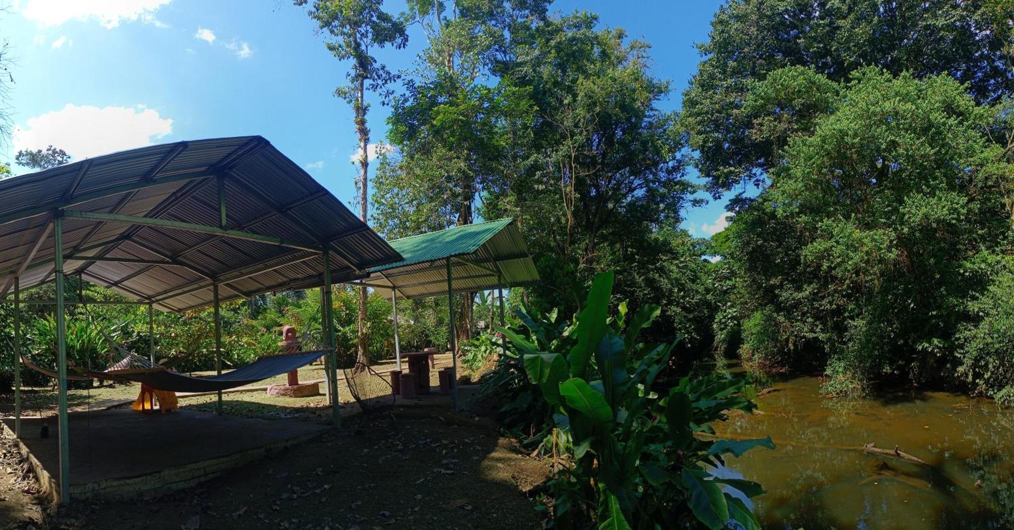 Finca La Paz - Sarapiqui Puerto Viejo de Sarapiqui Eksteriør billede