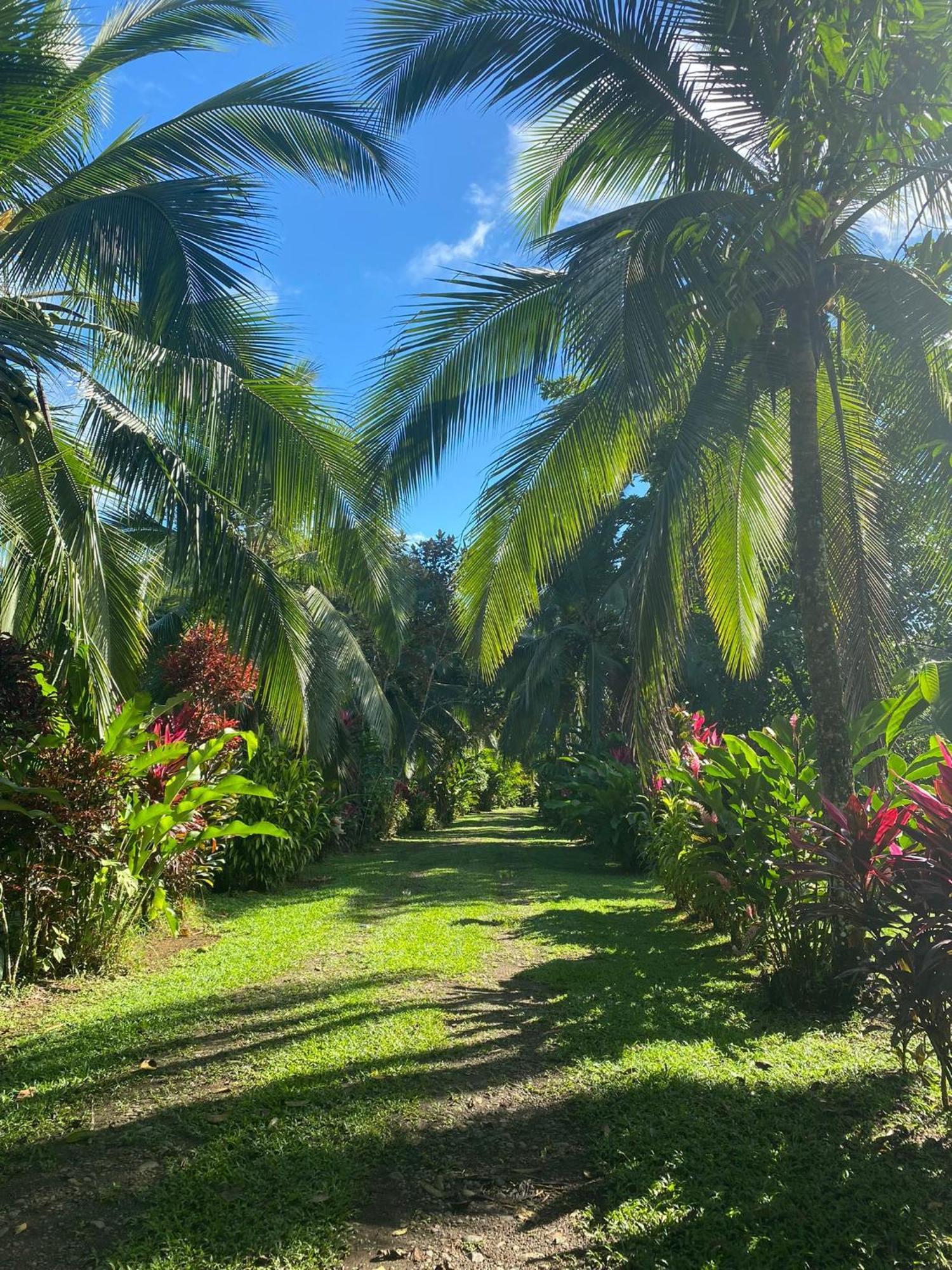 Finca La Paz - Sarapiqui Puerto Viejo de Sarapiqui Eksteriør billede