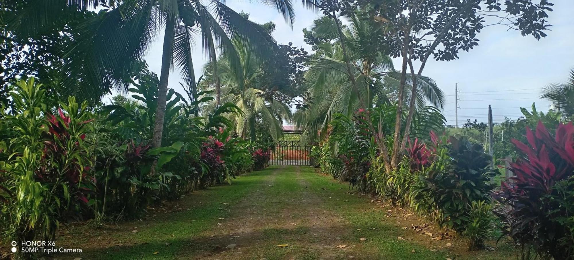 Finca La Paz - Sarapiqui Puerto Viejo de Sarapiqui Eksteriør billede